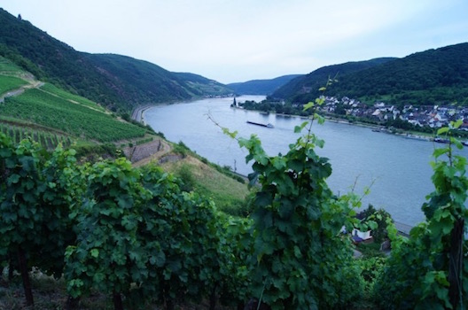 Rhine River tour 2017